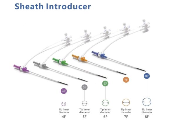 Sheath introducer