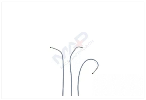 Guiding Catheter